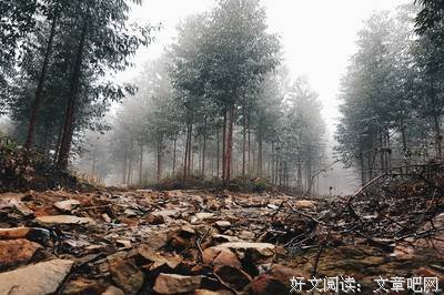 关于此情此景的座右铭