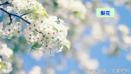 有关乐于助人的美句摘抄