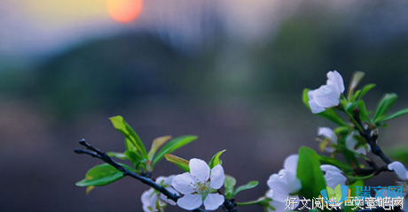科学革命的编史学研究读后感100字