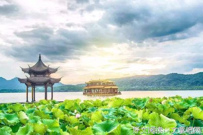 心灵的慰藉的读后感大全
