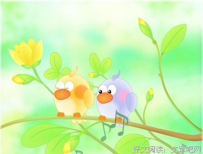 《身份与暴力》读后感100字
