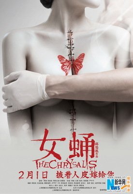 女蛹读后感100字