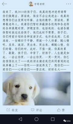 关于举重若轻名言名句