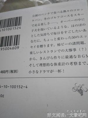 《村上收音機2, 大蕪菁、難挑的酪梨》读后感锦集