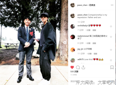 镜中的忧郁读后感摘抄