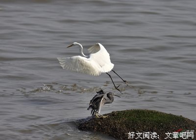 关于狭路相逢的语句