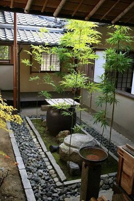 关于起死回生名言名句