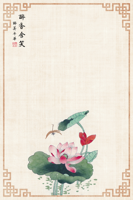 《啊！蜻蜓》读后感1000字