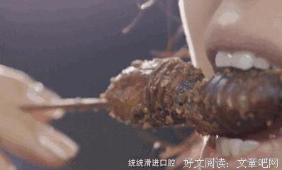 《自然世界：蚂蚁攻击》观后感精选