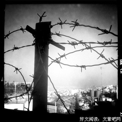 《加沙眼泪》的影评大全