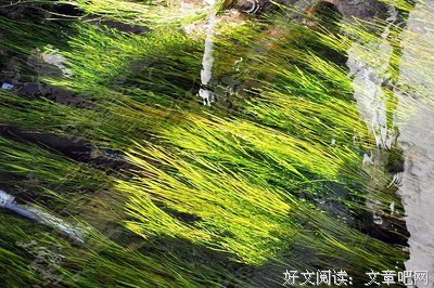 《超能家庭 第一季》经典影评集