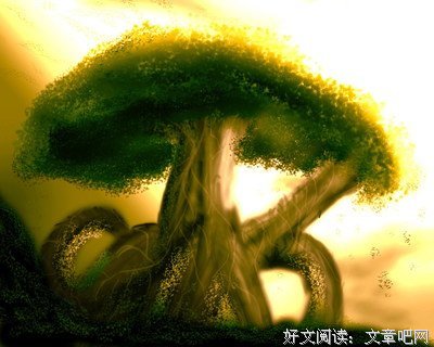 桃花依旧人有春风的优美句子
