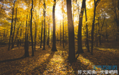 来过要发来过要发才了实能才了实能的优美句子