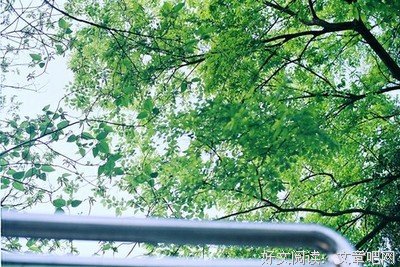 席慕容名句欣赏