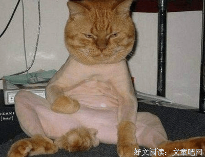 句句经典的句子