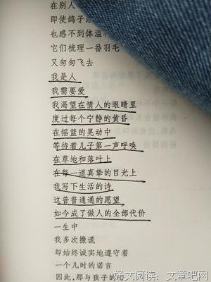 北岛诗集