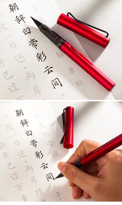 抄词的句子