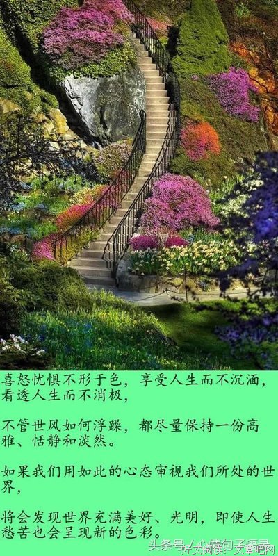 有关成人生生成人生不上的句子