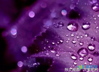关于七的优美句子