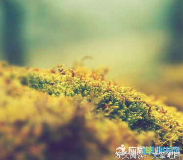 最好的我们名句欣赏