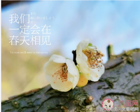 《正能量：坚持正能量，人生不畏惧》好段摘抄