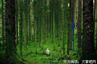 《请说爱》好看吗？经典影评锦集