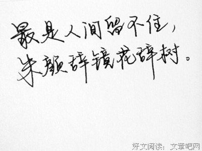 随摘语录