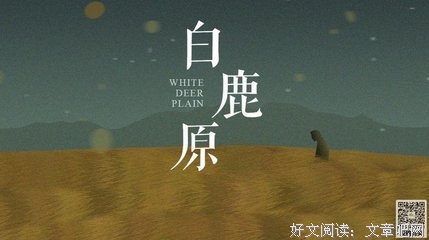 《陈忠实解读陕西人》经典读后感有感