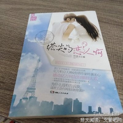 塔尖的恋人啊读后感锦集