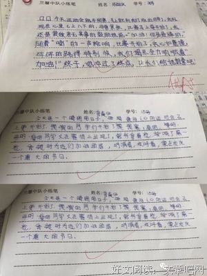 《我心自由》读后感100字