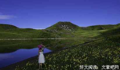 呼伦贝尔草原的夏天读后感精选