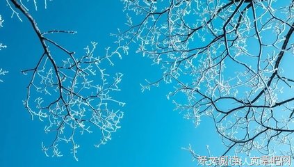 关于落落大方名言名句