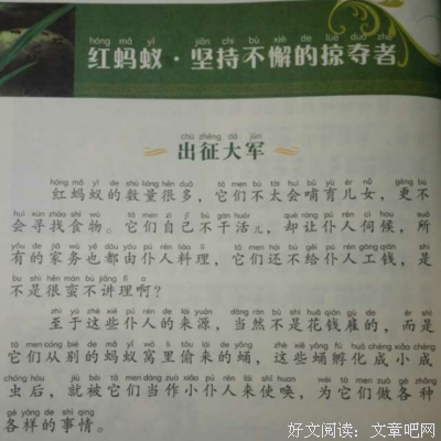 红色阅读笔记读后感锦集