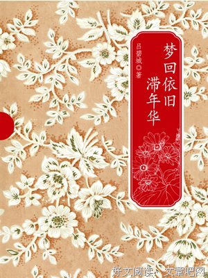 梦回依旧滞年华读后感1000字