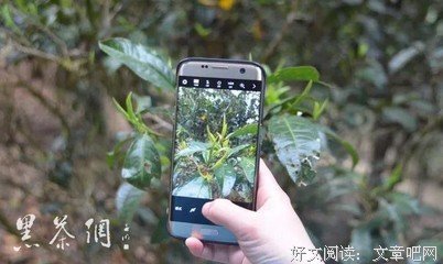《改变带来医治》读后感精选