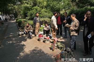 《杂牌军》读后感摘抄