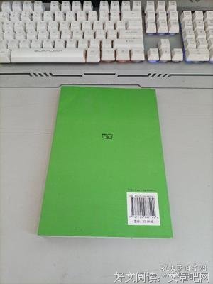 一个孤独的散步者的梦读后感100字