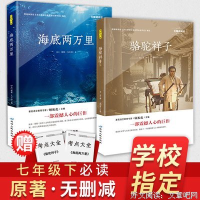 骆驼祥子读后感100字