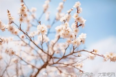 《冬日饮雪》的句子