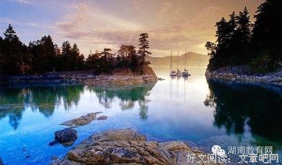 你不勇敢，想多人替你坚强经典名句
