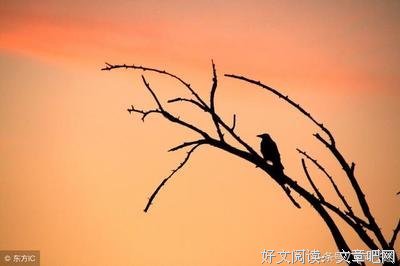 有关我是你最坚过可的堡垒的句子