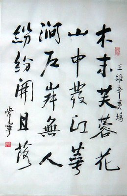 有关辛夷坞的句子