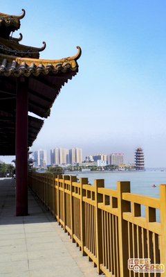 《美在广西》的影评大全