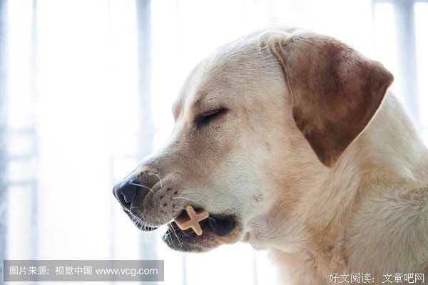 细嚼慢咽名句欣赏