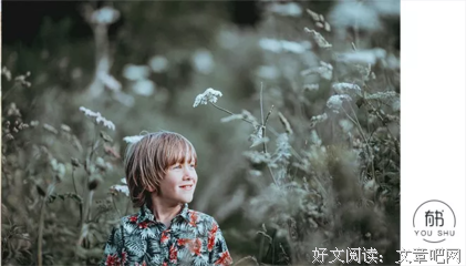 关于张晓风的句子