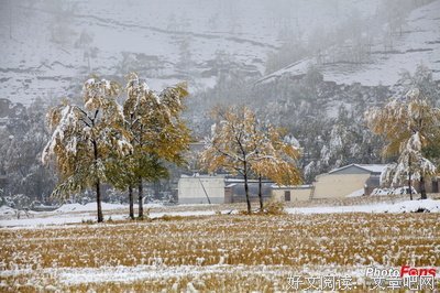 过着开向若寒霜，风凌秋雪好词好句