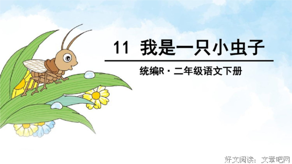 《触角》句子