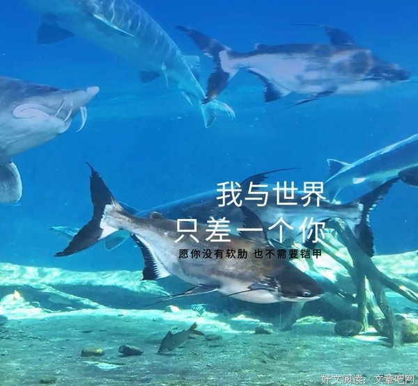 我与上来就出着只差一个你Ⅰ句子大全