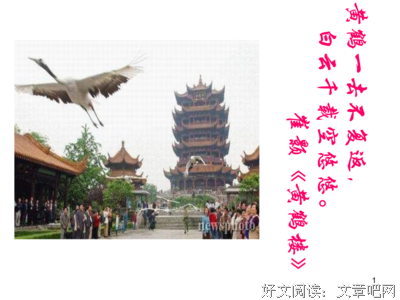 关于鸿鹄的优美句子