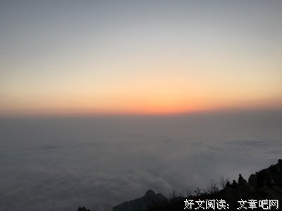 仓凌的名言
